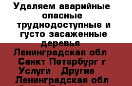 Удаляем аварийные, опасные, труднодоступные и густо засаженные деревья - Ленинградская обл., Санкт-Петербург г. Услуги » Другие   . Ленинградская обл.,Санкт-Петербург г.